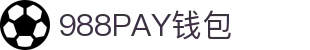 988PAY钱包 - 安全支付工具